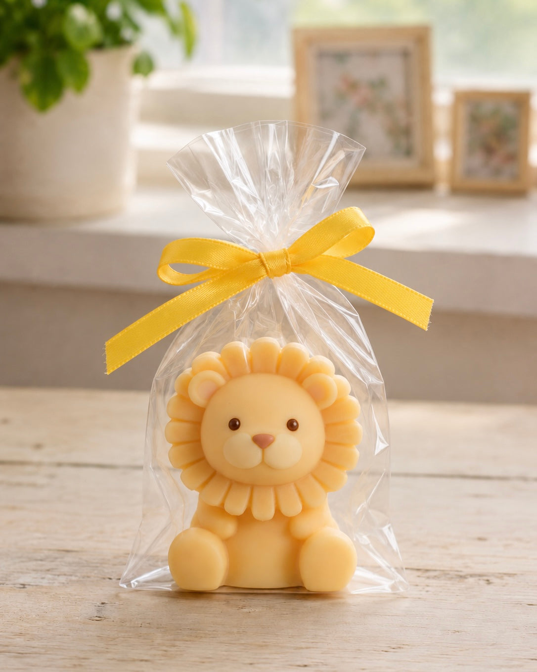 Colección kids